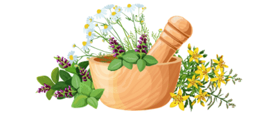 Untitled (1920 x 800 px) (1)